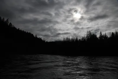 DSC_0216 (Large).JPG